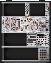 Harvestman