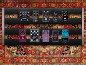 Beauty &amp; Ruin Pedalboard (Guitar)