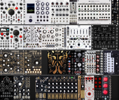 My pardine Eurorack