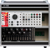 My phasmid Eurorack