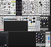 My yearling Eurorack