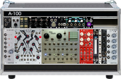 Experimental System