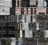 Ebony Tiger 2022 (Siam) - Symmetry2
