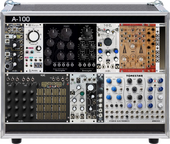 My bleached Eurorack