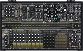 Make Noise Black &amp; Gold Shared System 2