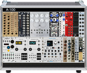 Case LCB-3