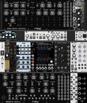 My procyonid Eurorack