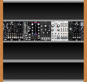 Moog Case