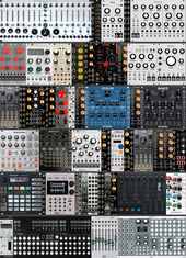 Ginkosynthese Rack