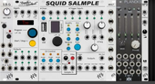 ALM Sampler