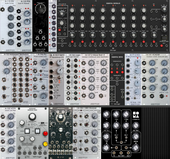 My cichlid Eurorack