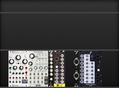 My scincoid Eurorack (copy)