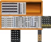 MEM case