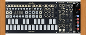 Moog Case