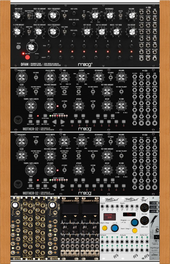 (A2) Case II: Moogness Plus [Current]