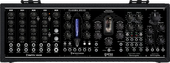 Erica FX