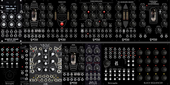 My breeding Eurorack
