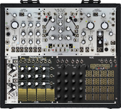 My young Eurorack