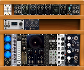 Control case