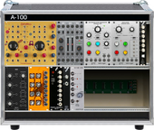 My brainy Eurorack