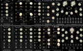 Radical Frequencies