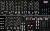 My catching Eurorack (copy) (copy) (copy) (copy) (copy) (copy)