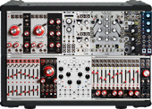 My ivied Eurorack