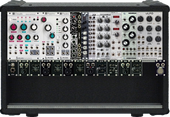 My bizarre Eurorack