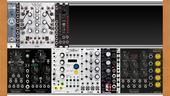 My coccal Eurorack