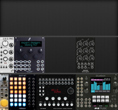 My cattish Eurorack