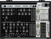 Large Dual Moog Module