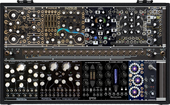 Make Noise Shared System Plus Black and Gold (copied from Elche)