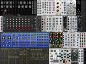 My cichlid Eurorack (copy)