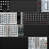 My cichlid Eurorack (copy)