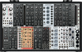 My cystoid Eurorack