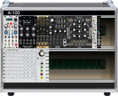 My coccoid Eurorack