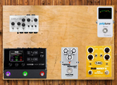 My landscaped Pedalboard