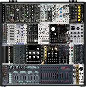 aiaevedrim double case