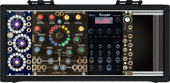 My plumose Eurorack