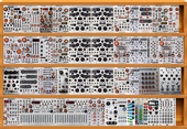 Harvestman
