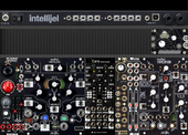 Intellijel 62HP Palette - Morphagene + Mimeophon