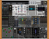 My bivalve Eurorack
