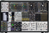 NOT Entirely Make Noise Black &amp; Gold Shared System Plus PLUS (copy)