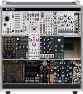 Primary Synth - Companion 1