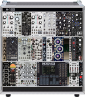 RACK Mutant Brain