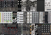 live seq 2022