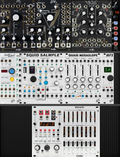 My moog add on