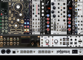 Adame' Rack1