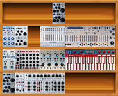 oberlin timara buchla