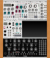 MOOG MUTABLE 2_60